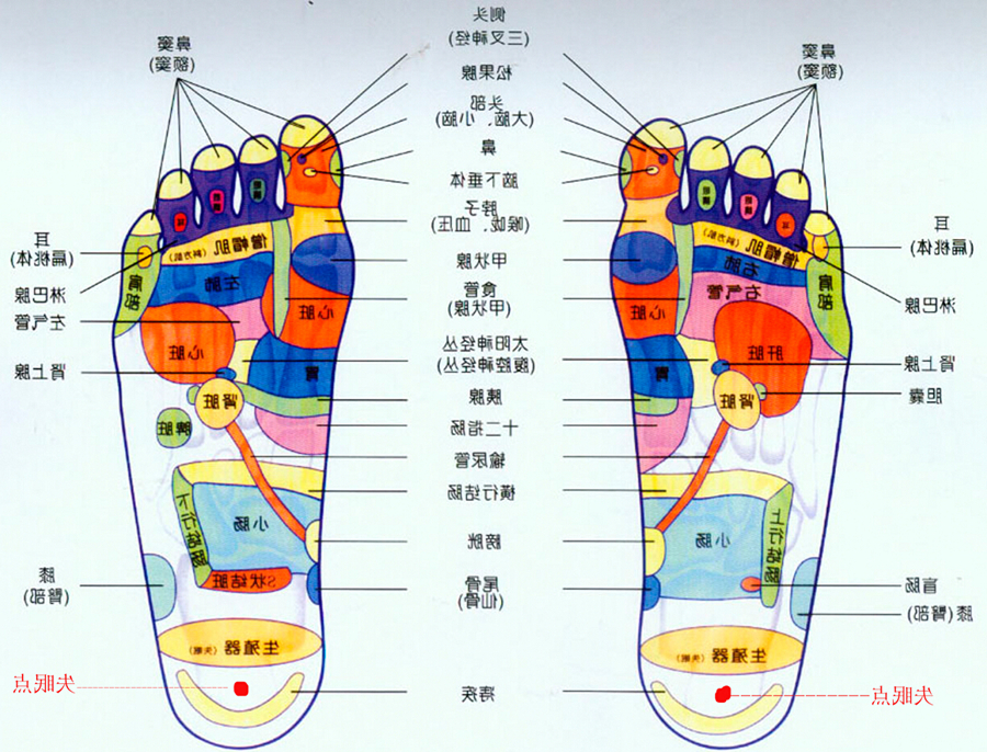 杏彩体育
 地暖 地暖的优势 地暖的好处